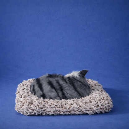 Cute Sleeping Cat Car Dashboard Decor Soft Plush Showpiece