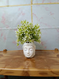 Perfect for Home Décor, Office Styling, Living Room, Bedroom, Balcony, Hotels, Cafés & Showrooms | Ideal Gift for Housewarming, Birthdays, Anniversaries, Weddings, Festivals & Corporate Gifting