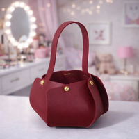 Mini Handheld Bag for Women with Structured Design | Compact Casual & Gift Purse