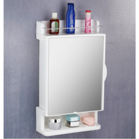 WALL-MOUNTED MIRROR CABINET 12X21inch