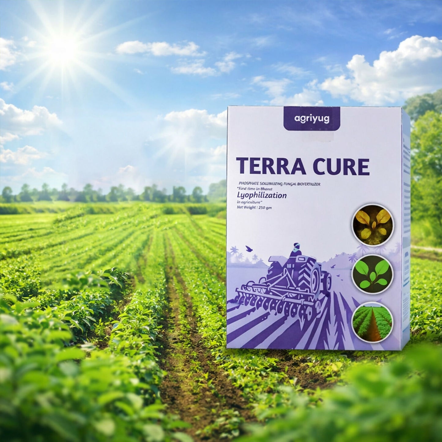 Packaging of soil treatment controlling fungi and decomposing organic matter
