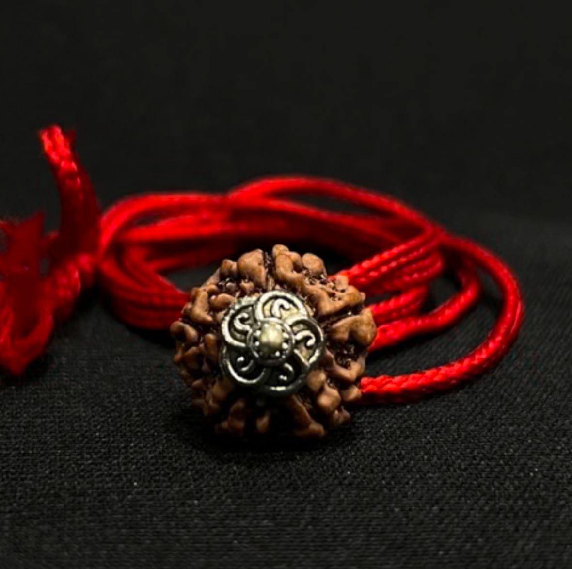 5 Mukhi Rudraksha / Five Faced Rudraksh