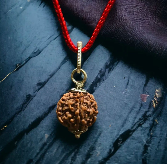 5 Mukhi Rudraksha / Five Faced Rudraksh