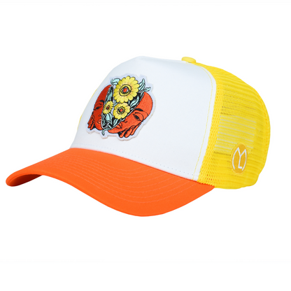 TwoFace Premium Trendy Cap for Men, Women & Kids | Stylish Casual Embroidered Adjustable Cap