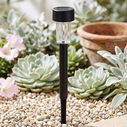 Single solar pathway stake light in garden