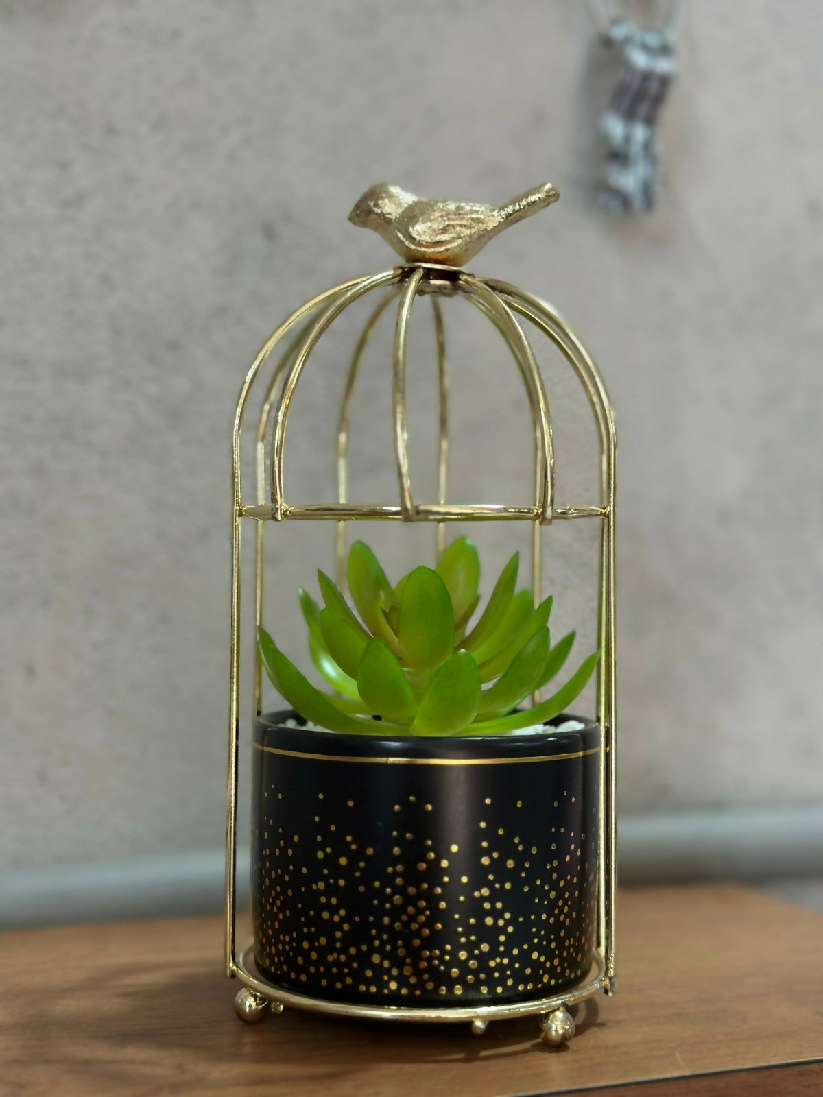 Golden Bird Cage Tabletop Planter with Decorative Pot(Color may vary)