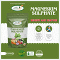 Magnesium Sulfate Fertilizer – Boost Crop Growth & Yield