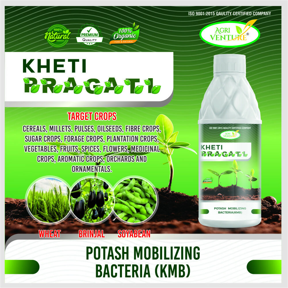 AgriVenture KHETI PRAGATI ( KMB - Potassium Mobilizing Bacteria ) Plant Growth and Development Bactericide Organic Product BIO FIRTILIZERS (1Ltr)