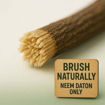 Natural neem wood sticks arranged flat