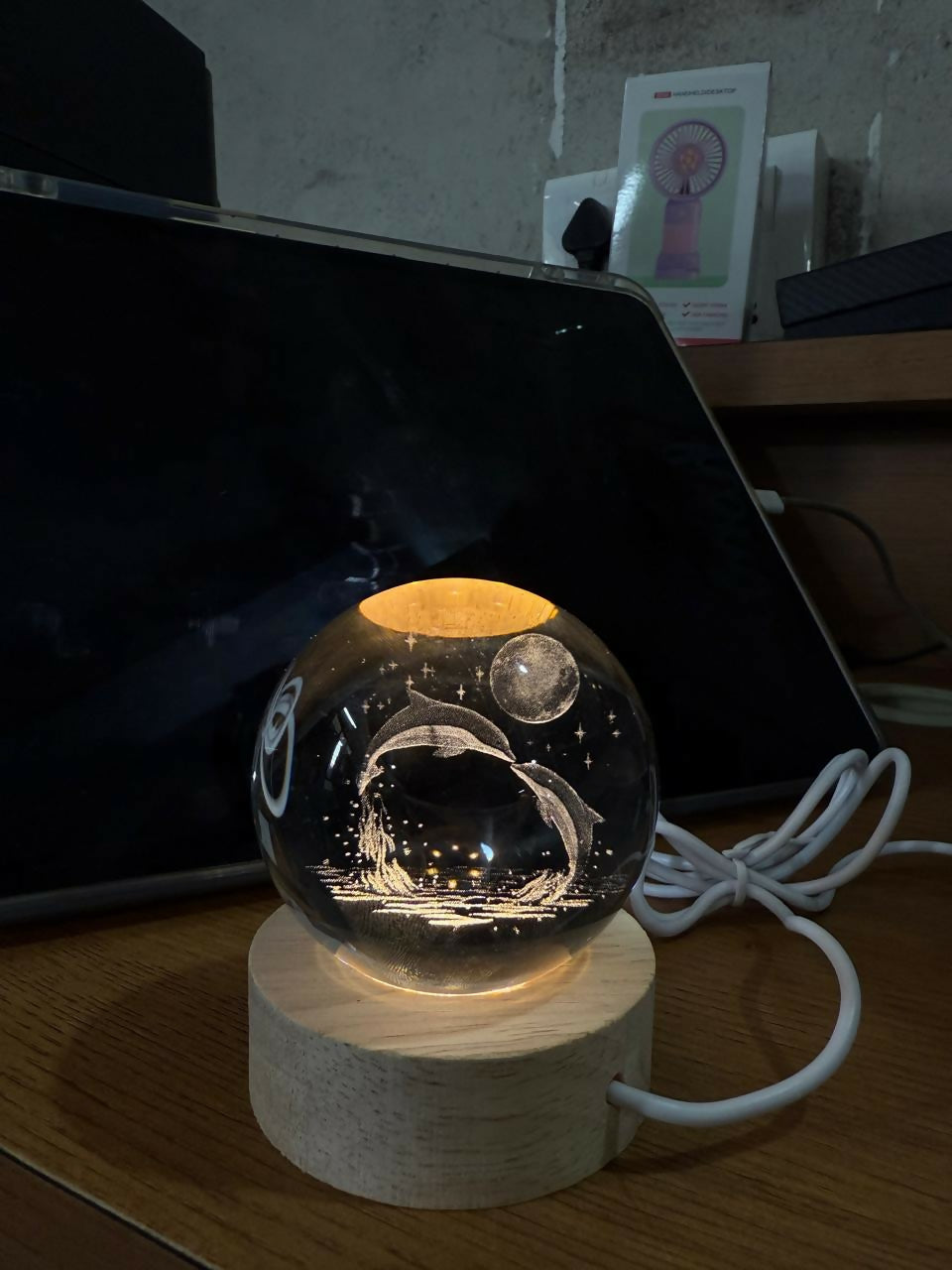 3D Dolphin Crystal Ball Night Lamp with Wooden Base Decorative Light