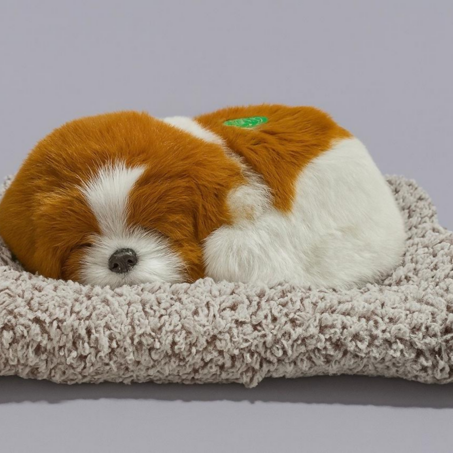 Premium Brown & White Sleeping Puppy Dashboard Toy