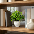 Artificial Green Plant with White Diamond Cut Pot for Home Office Table Top Decor