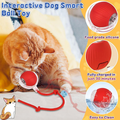 Rechargeable Interactive Cat Toy Ball with Detachable Braided Tail and LED Light (1 Pc)