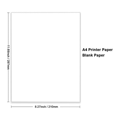 Diagram illustrating the standard A4 paper dimensions (210 x 297 mm)
