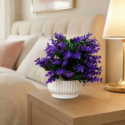 Decorative-Plant-03