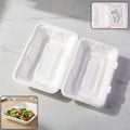 Bagasse Clamshell Food Box – Eco-Friendly 9x6 Inch Disposable Set