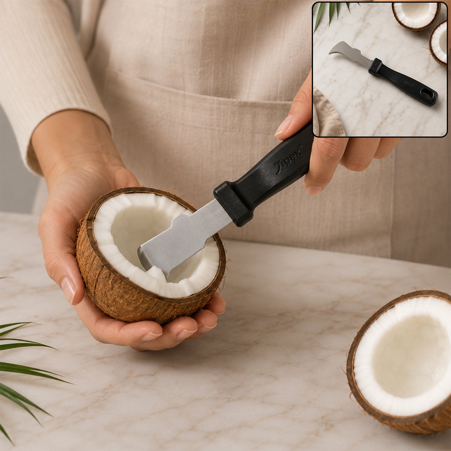 Apex Coconut Meat Removal Tool with Steel Blade and Grip Handle (1 Pc)