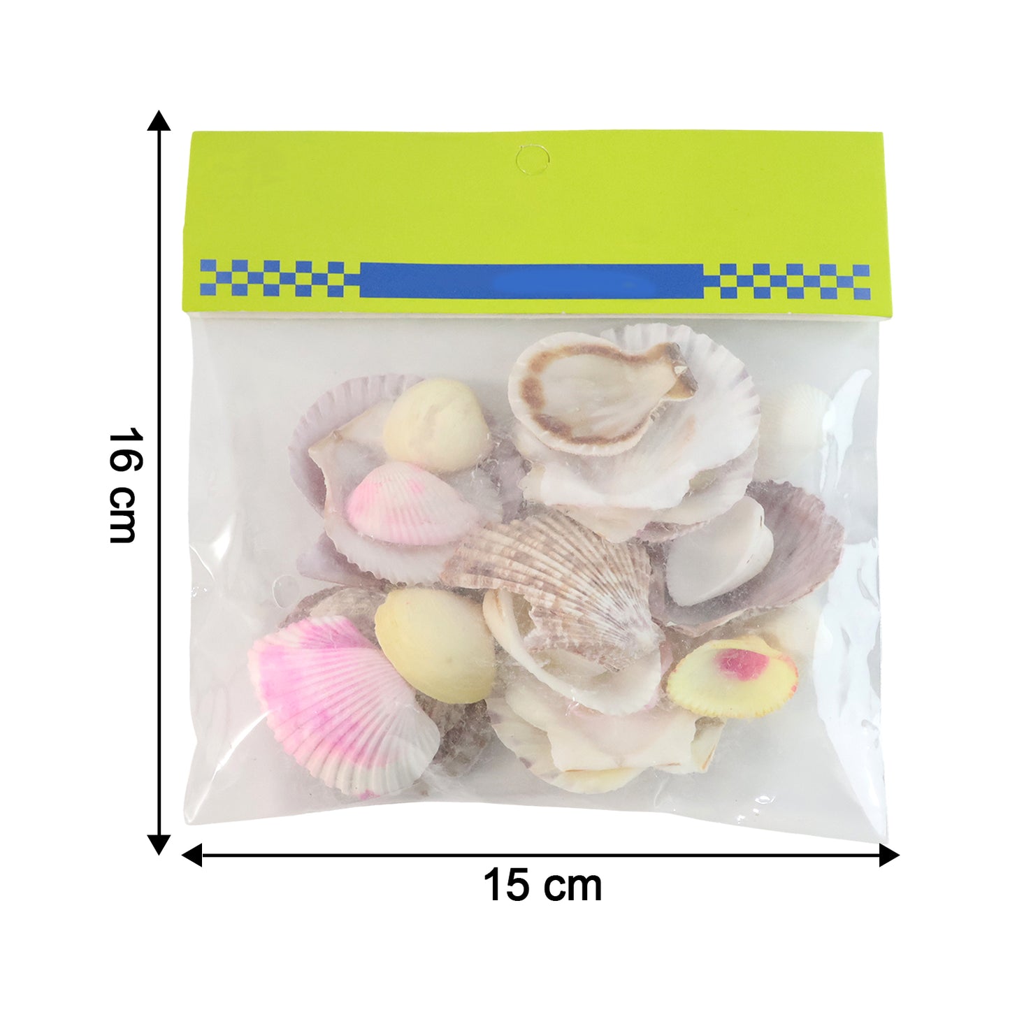 Natural Decorative Sea Shells Set (1 Set)