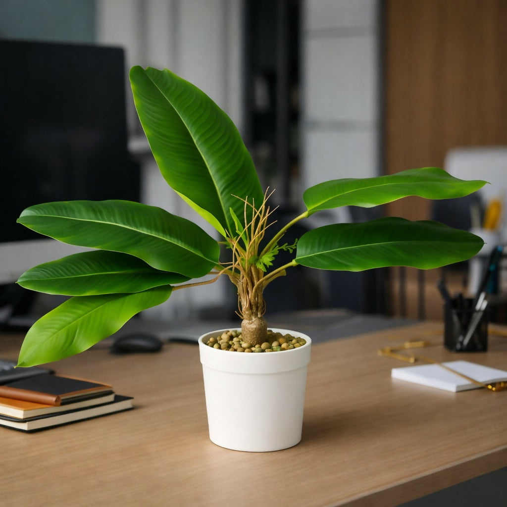 Artificial Large Leaf Tabletop Plant with Pot for Home & Office Décor