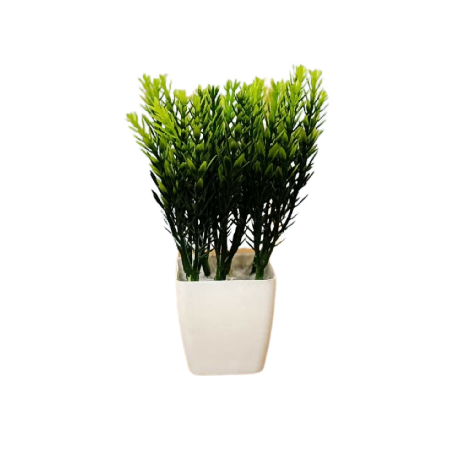 Plant-5