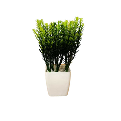 Plant-5