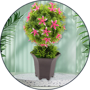 Gardening & Landscaping