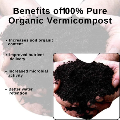  organic gardening soil mix