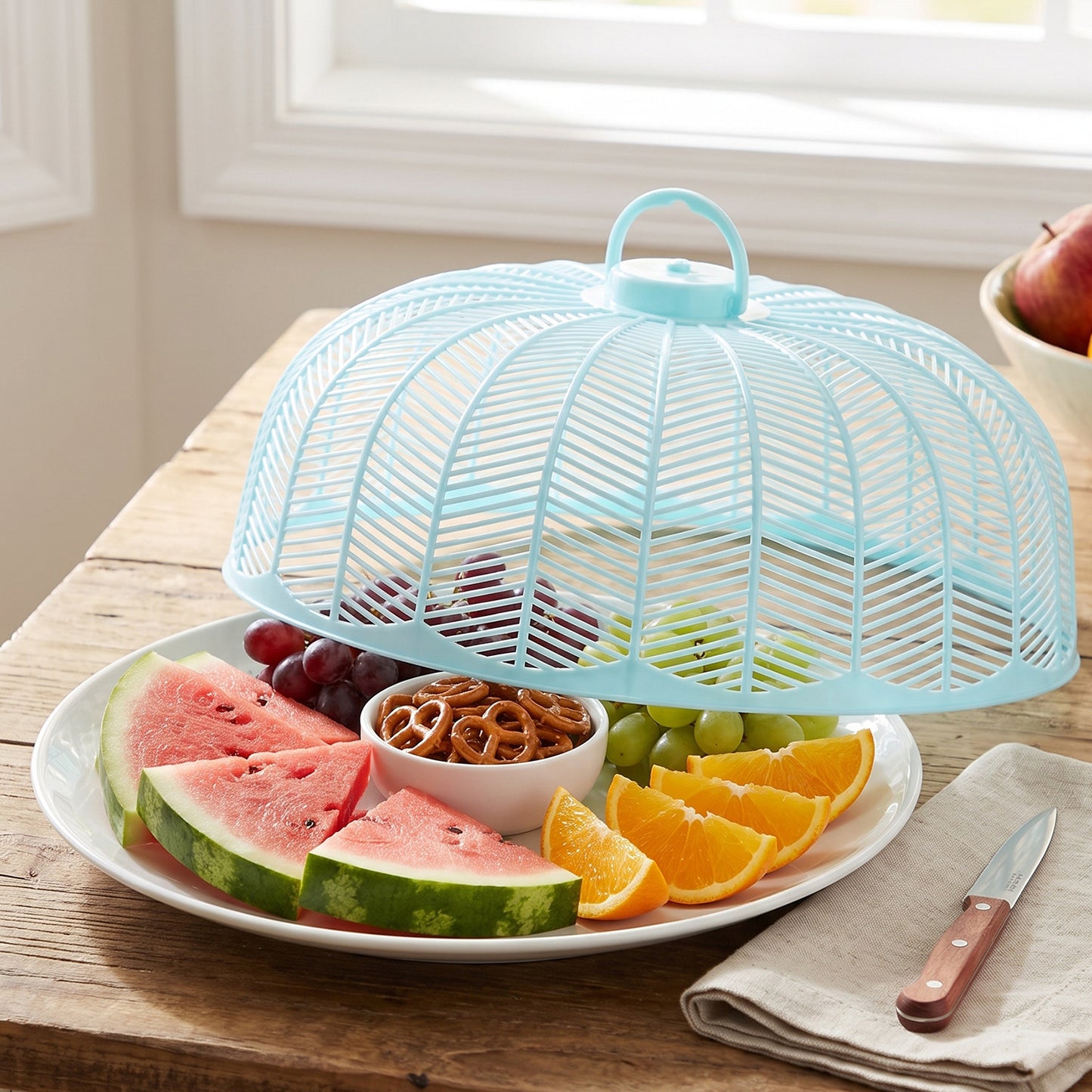 Plastic Mesh Food Cover Dome with Handle for Dining Table 21x10 Cm (1 Pc)