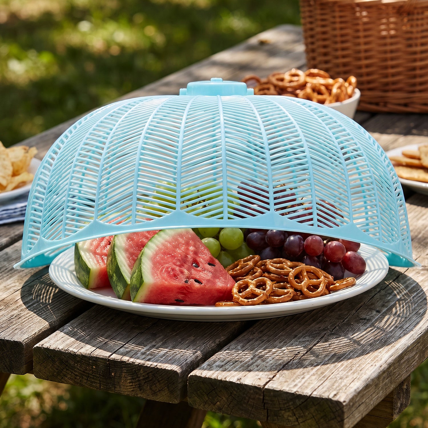 Plastic Mesh Food Cover Dome with Handle for Dining Table 21x10 Cm (1 Pc)