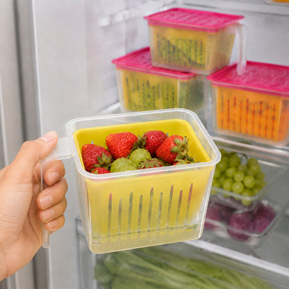 Fridge Storage Containers – 4 Pcs Plastic Set | Organivo