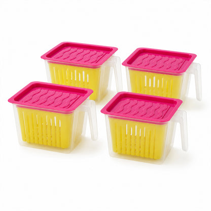 Fridge Storage Containers – 4 Pcs Plastic Set | Organivo