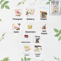 Fruit Seeds Combo Pack – 10 Quality Varieties for Home Gardening