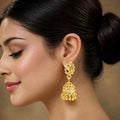 Jewellery – Elegant Gold Finish Peacock Earrings with Stone Details