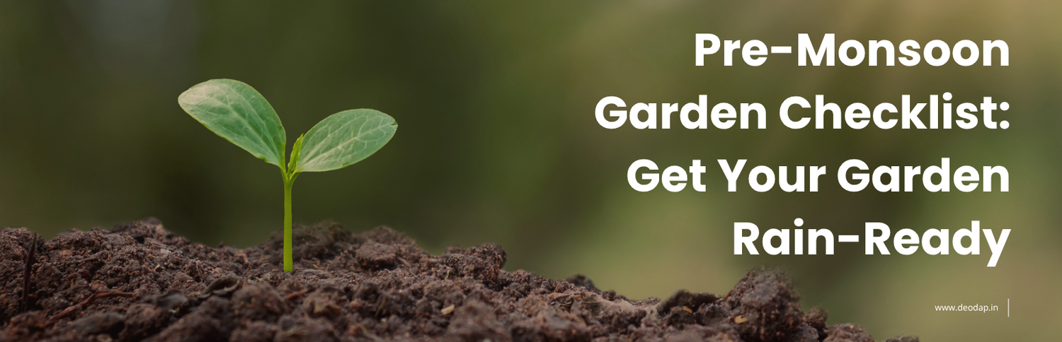 Pre-Monsoon Garden Checklist: Get Your Garden Rain-Ready