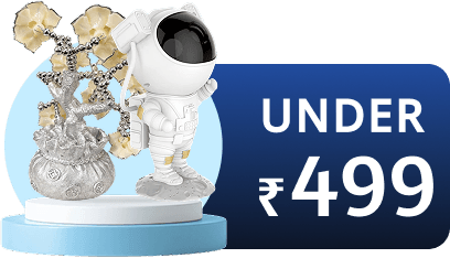 Under Rs 499 products