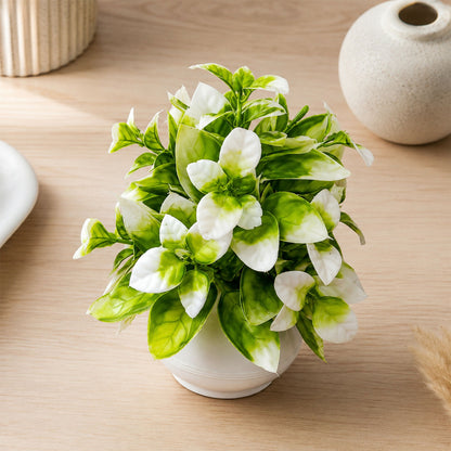Decorative-Pot-04