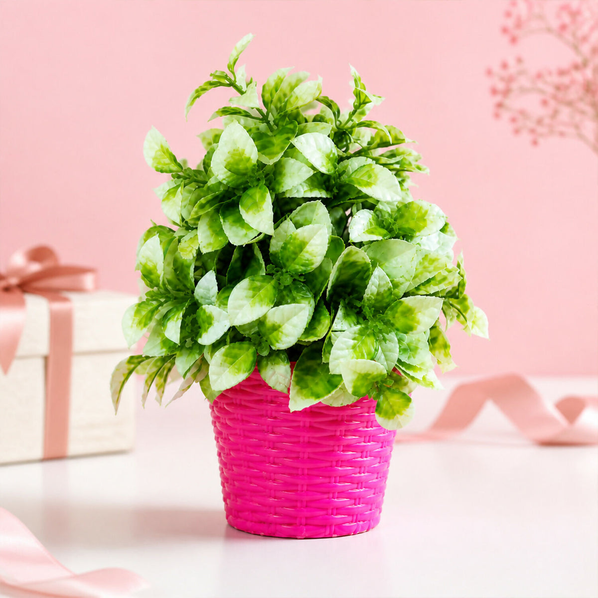 Decorative-Plant-04