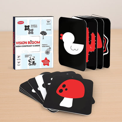 High Contrast Flash Cards for Babies - Shapes, Animals, Fruits, & More