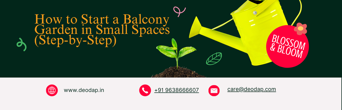 How to Start a Balcony Garden in Small Spaces (Step-by-Step)