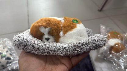 Premium Brown & White Sleeping Puppy Dashboard Toy