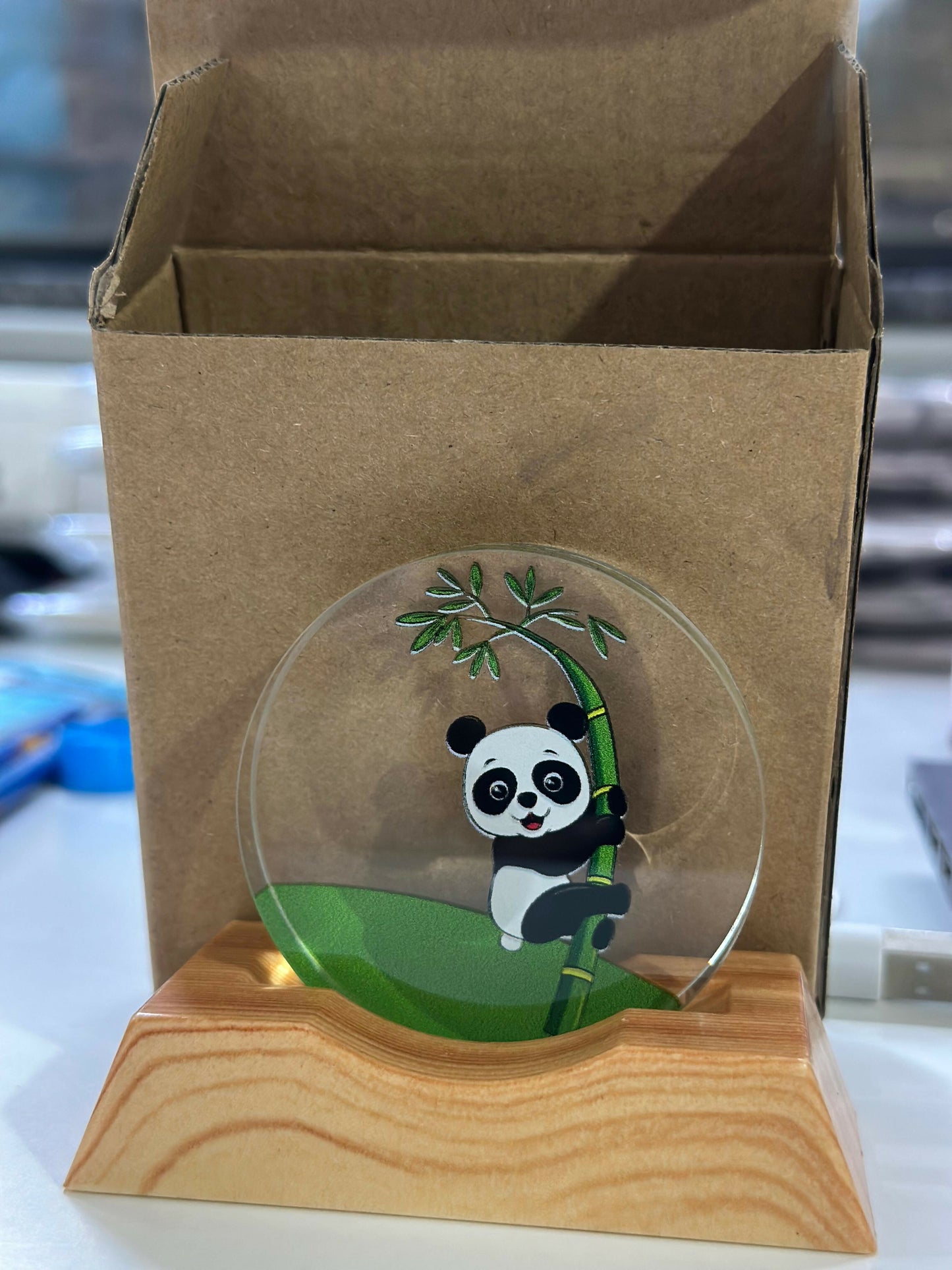 Panda Acrylic LED Night Lamp with Wooden Base USB Decorative Table Light