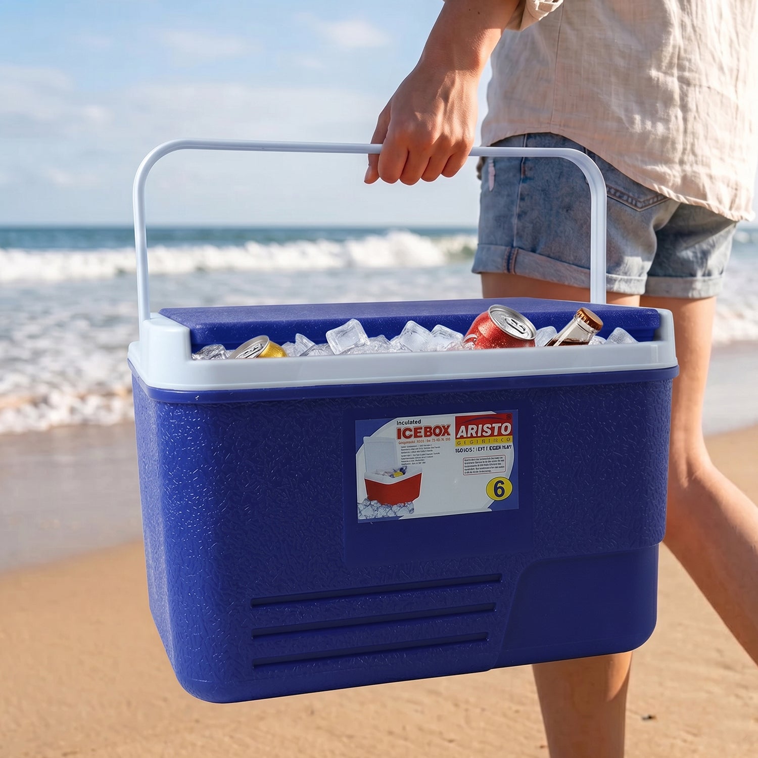 Portable insulated cooler box showing handle and lid