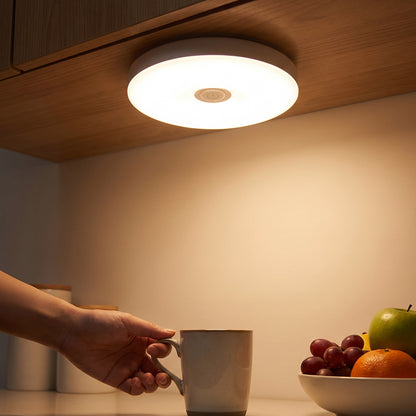 USB Rechargeable Magnetic Motion Sensor LED Light for Cabinet Home (1 Set)