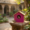 Wooden Magenta Bird House Box for Garden & Outdoor Birds