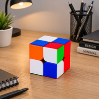 2×2 Speed Cube Puzzle – Smooth Turning Stickerless Magic Cube