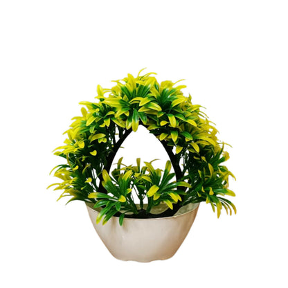 plant-5