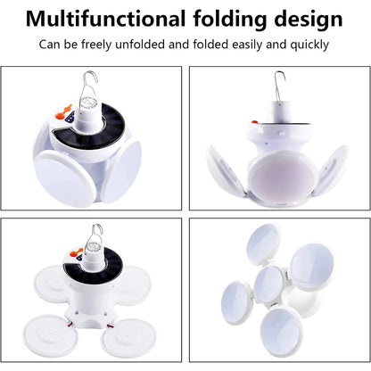 Solar Garden Decorative LED Ground Lights (2 Pc Set)