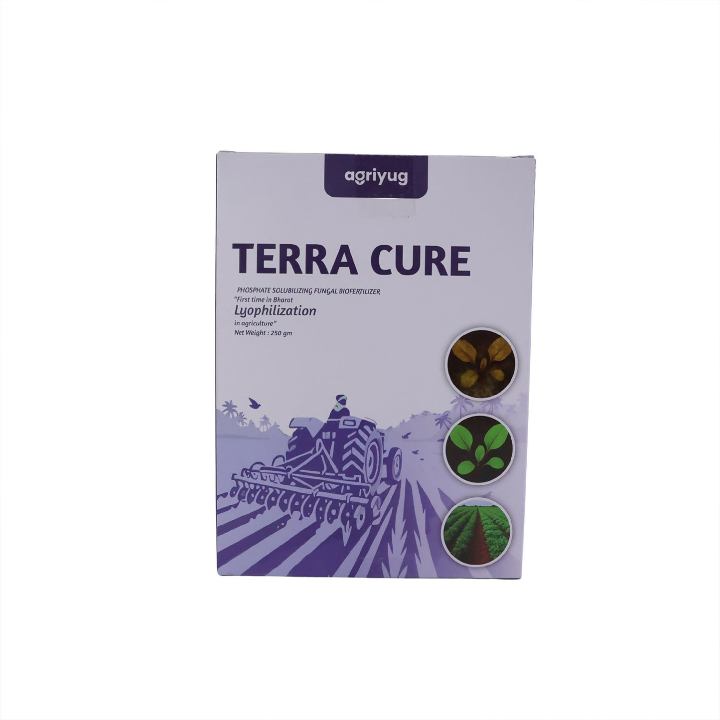 Healthy plants after soil treatment with organic fungi control
