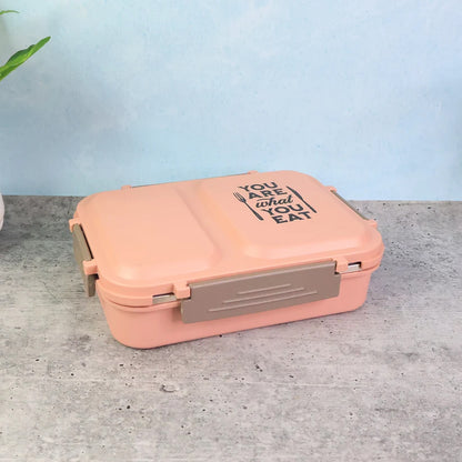 Stainless Steel Lunch Box – 2 Partition Leak-Proof Tiffin