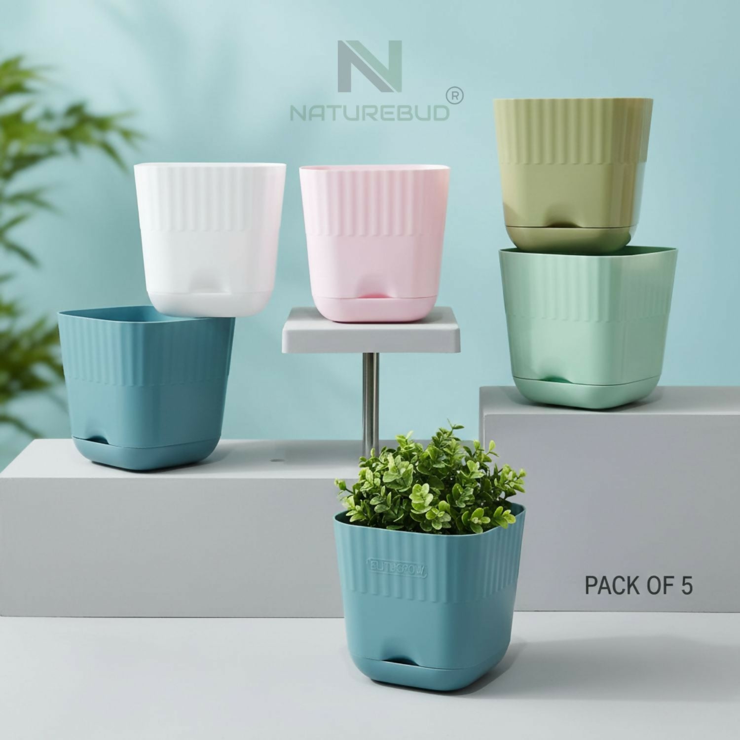 ELITEGROW SQUARE FLOWER POT (PACK OF 5)